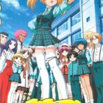 Цвета клёна — Maple Colors