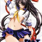 Школьные войны: Великие стражи  3 сезон — Ikki tousen: Great Guardians Season 3