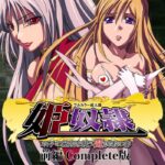 Рабство принцессы — Hime Dorei: Mesu e to Ochiteyuku Futago no Oujo