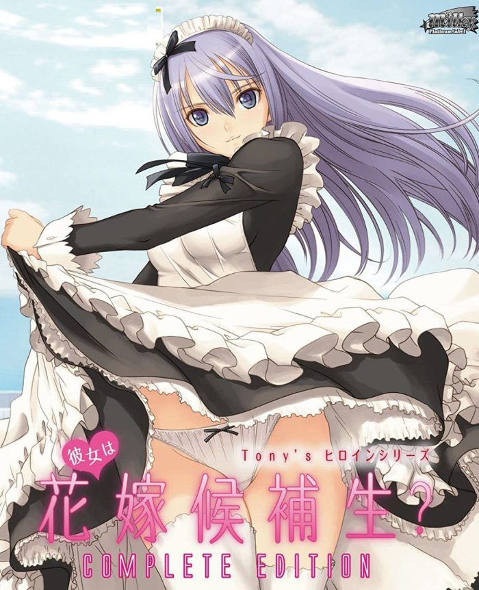 Поиски супруги: Кто достойна быть невестой? — Tony’s Heroine Series: Kanojo wa Hanayome Kouhosei? Cinderella Collection